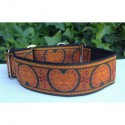 Collar martingale Kidney naranja