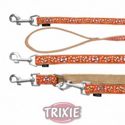 Correa Modern Art Mojave