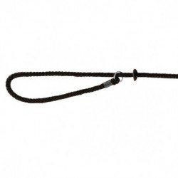 Correa de Exhibiciones