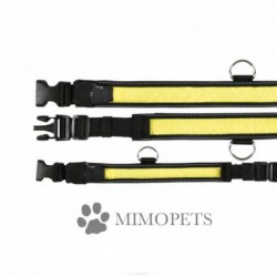 Collar Flash & Reflect