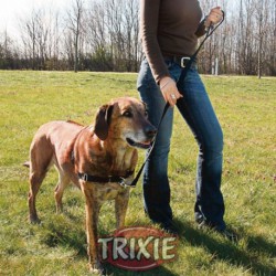 Arnés Easy Walk Professional