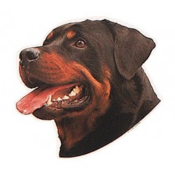 Pegatina de Rottweiler