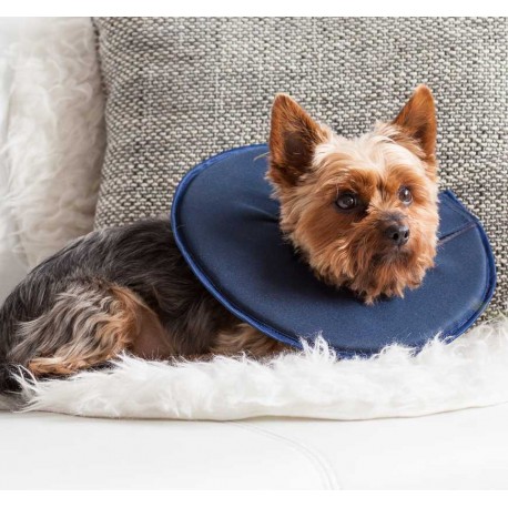 Collar isabelino de espuma