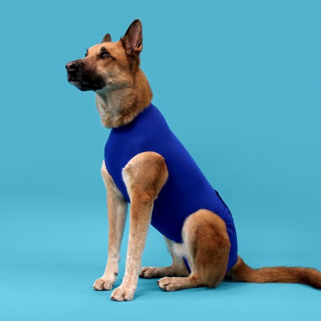 Camiseta postoperatoria Recova Shirt perros