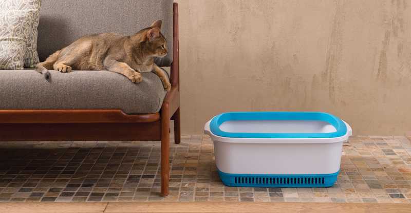 El arenero Cateco anti olores para usar con arena aglomerante