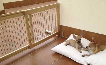 Los perros de Margit con la barrera extensible de Mimopets