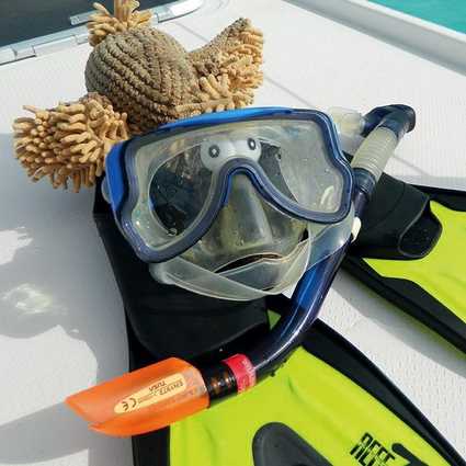 El buitre Gustav preparado para bucear