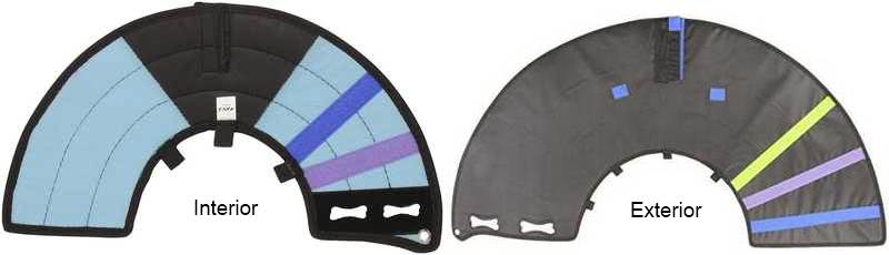 Parte interior y exterior del collar isabelino Calmer