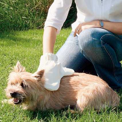 Guante de masaje para perros y gatos
