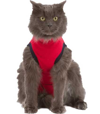 Camiseta protectora para gatos Medical Pet