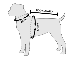 Gráfico para saber cómo medir las 3 principales medidas de un perro