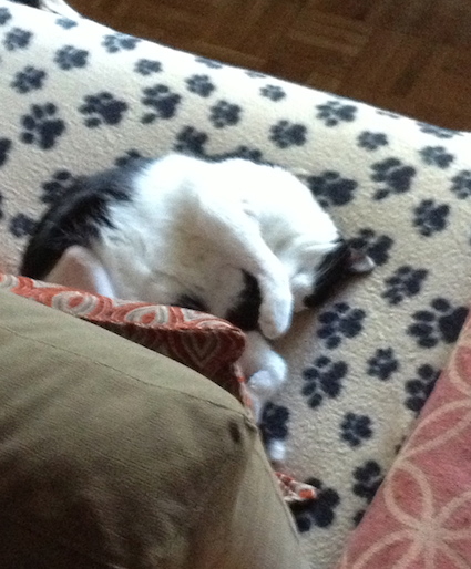 Minnie durmiendo en la manta Beany beige con huellas